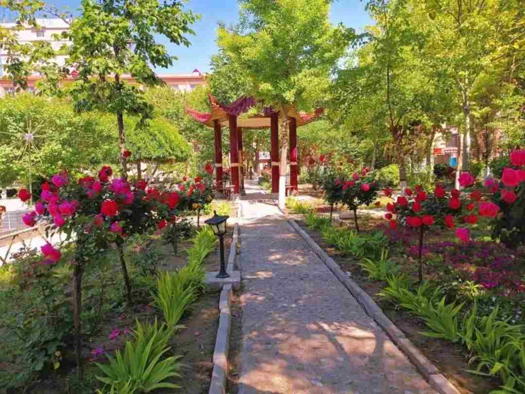 谈一别奋斗路 聚四载同窗情  ——ag8亚集团九游会官方网站2022届毕业 生欢送会